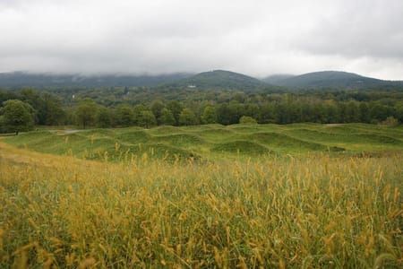 Artwork Title: Storm King Wave Field
