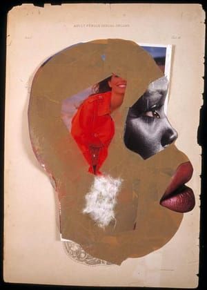 Artwork Title: Adult Female Sexual Organs