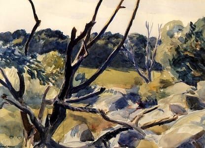 Artwork Title: Dead Trees, Gloucester