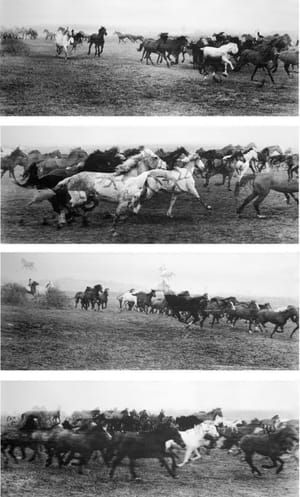 Artwork Title: Horses