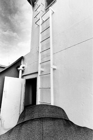 Artwork Title: Ladder