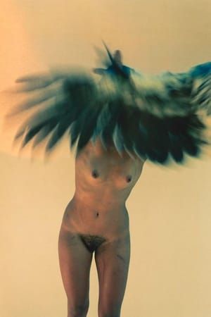 Artwork Title: Metamorphosis