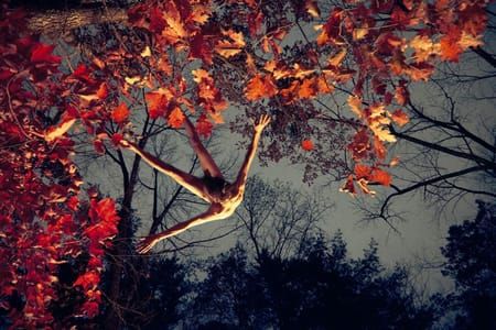 Artwork Title: Jake (fall)