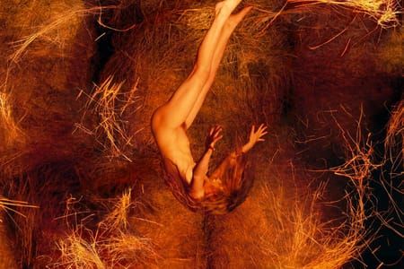 Artwork Title: Amanda (Haystacks)