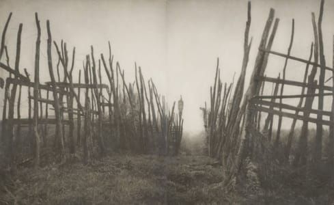 Artwork Title: Sentinels