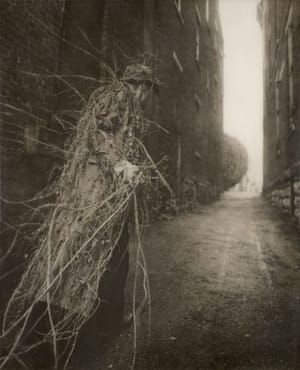 Artwork Title: Earthcoat