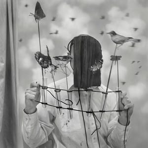 Artwork Title: Weather Spy