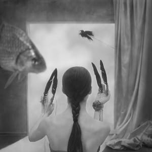 Artwork Title: Aria
