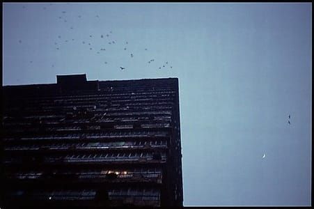 Artwork Title: Building And Birds