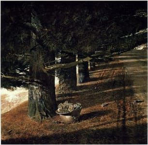 Artwork Title: Pine Baron
