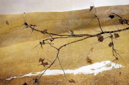 Artwork Title: Long Limb