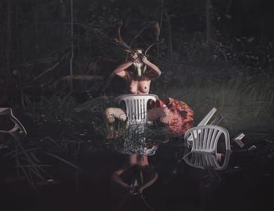 Artwork Title: Nymph