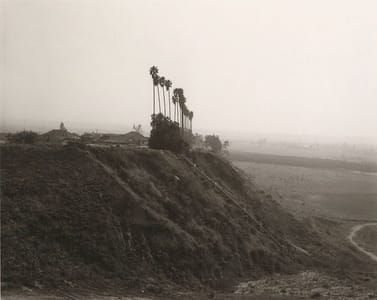 Artwork Title: Highland, new development, former citrus growing estate