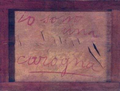 Artwork Title: Io sono una carogna