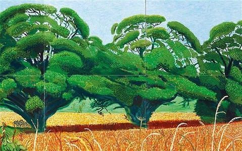 Artwork Title: Three Trees near Thixendale, Summer 2007