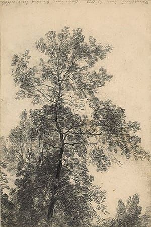 Artwork Title: Untitled