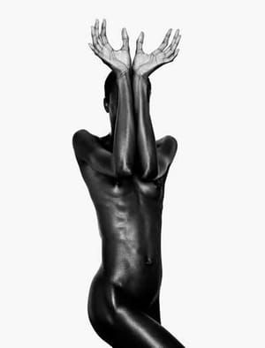 Artwork Title: Bronze 2 From Skin Series