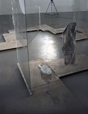 Artwork Title: Glaskatzensex – Transparent Tale