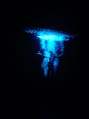 Artwork Title: Ascension