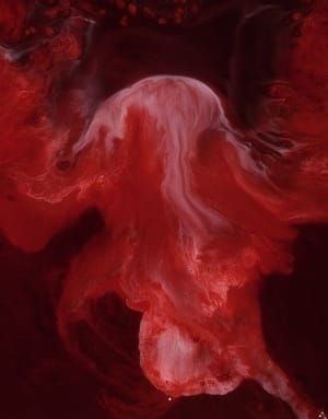 Artwork Title: Alkama (blood & Milk)