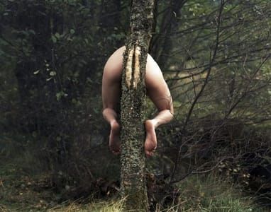 Artwork Title: Untitled