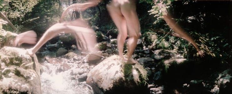 Artwork Title: Metamorphosis # 38