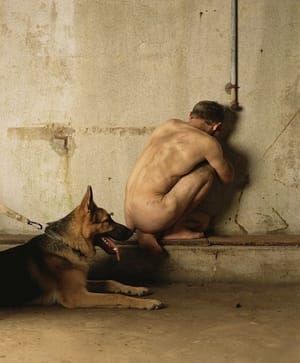Artwork Title: Torture