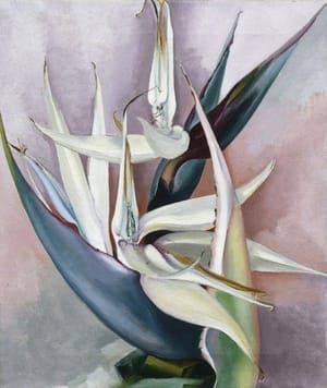 Artwork Title: White Bird of Paradise