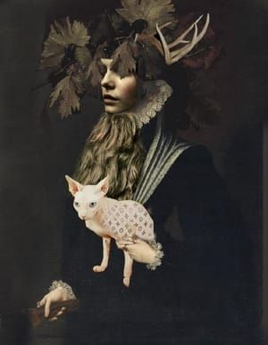 Artwork Title: Untitled