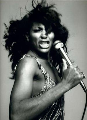 Artwork Title: Tina Turner