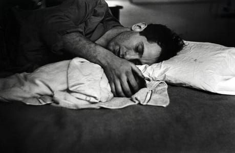 Artwork Title: Robert Frank and son, New York