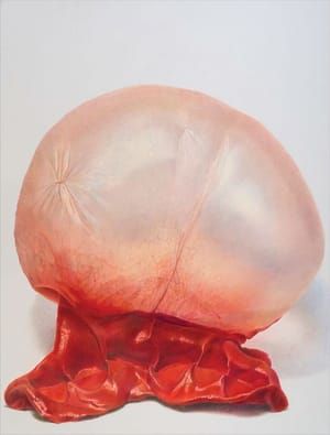 Artwork Title: Watermelon