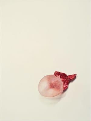 Artwork Title: Plumgum