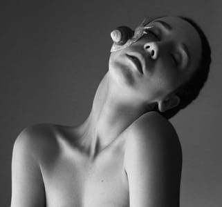 Artwork Title: Untitled