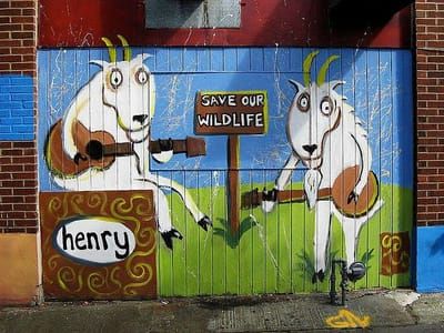Artwork Title: Wild Life In The Northwest