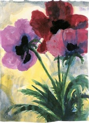 Artwork Title: Violet Poppy