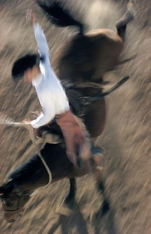 Artwork Title: Bronco Rider, California