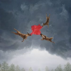 Artwork Title: Life In Flight