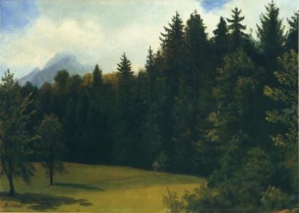 Artwork Title: Mountain Resort