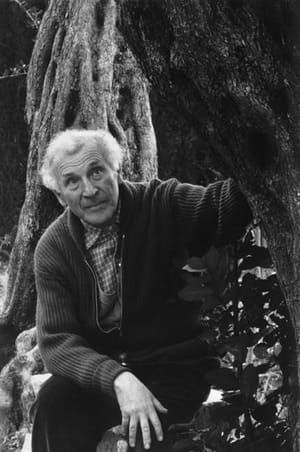 Artwork Title: Marc Chagall