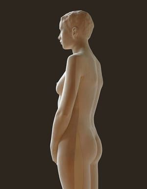 Artwork Title: Wood #13