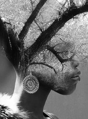 Artwork Title: El Indigena