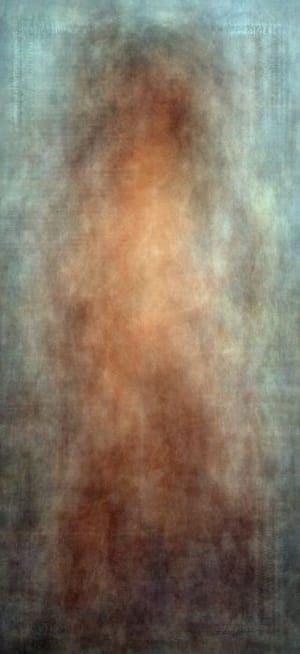 Artwork Title: Every Playboy Centerfold, The 70s (normalized)