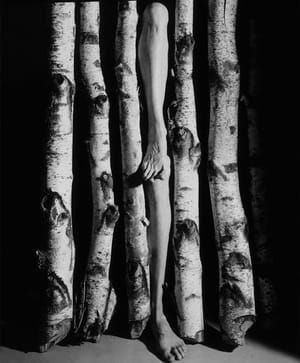 Artwork Title: Untitled