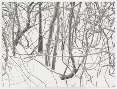 Artwork Title: Untitled