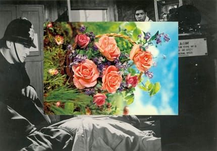 Artwork Title: Untitled (Rose)