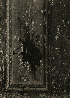 Artwork Title: Untitled
