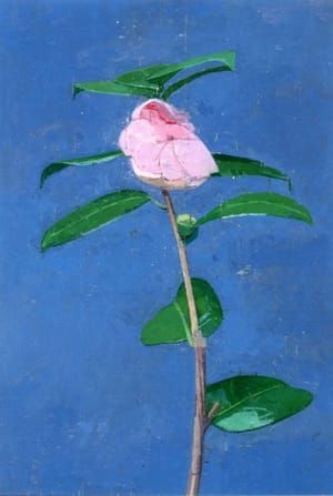 Artwork Title: Souvenir de Bauhaud Litou (Double Camellia)