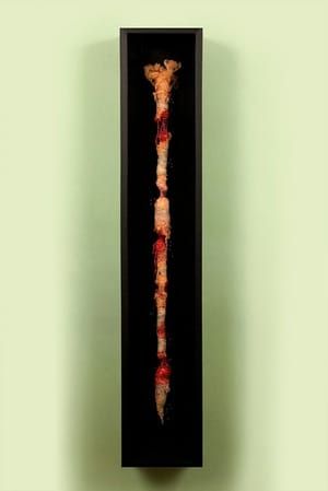 Artwork Title: Femoris