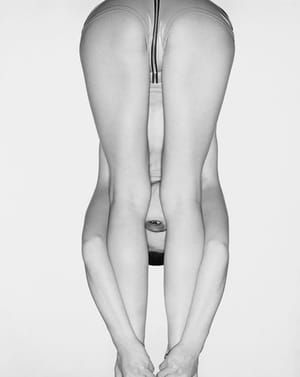 Artwork Title: Untitled